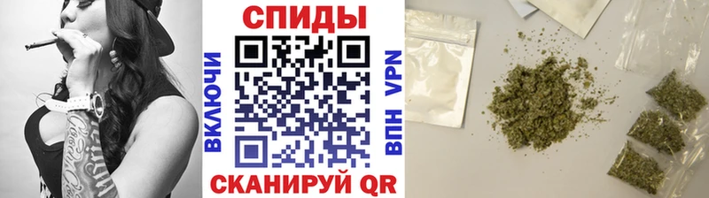 БУТИРАТ буратино  Купить где  Топки 
