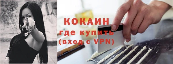 прущие крисы Белокуриха